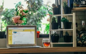 Ecommerce business plan example for beginners in 2025